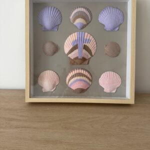 Pastel Sunset Scallop Shadow Box