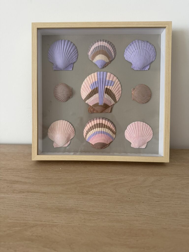 Pastel Sunset Scallop Shadow Box