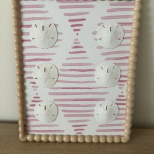 White Sand Dollar Sextet on Pink Brushstroke