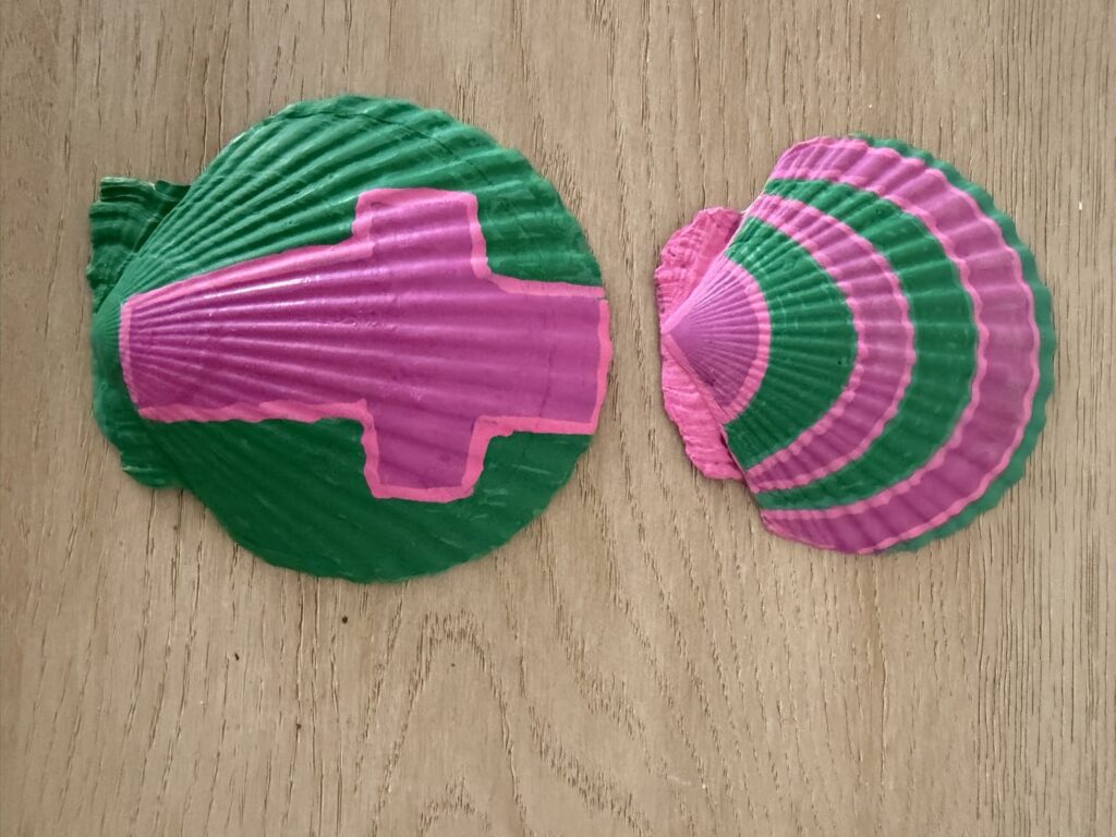 Green and Pink Cross Painted Scallop Duo