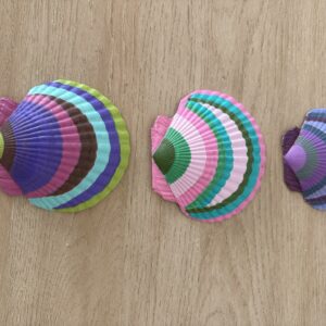 Tropical Rainbow Painted Scallop Trio
