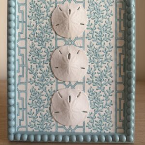 White Sand Dollar Trio on Coral and Lattice