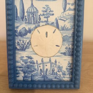 Sand Dollar on Blue Italian Garden Toile