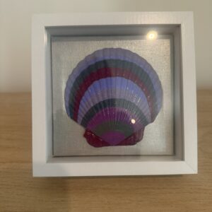 Amethyst Ombre Scallop in White Shadow Box