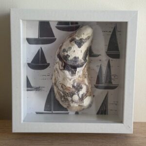Natural Oyster on Navy Sailboat Print in White Shadow Box
