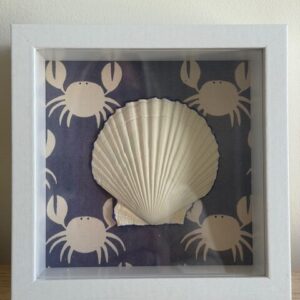 White Scallop on Navy Crab Print in White Shadow Box